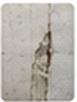 Betonschale